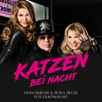 Katzen bei Nacht (Radio Version) by DIANA BURGER