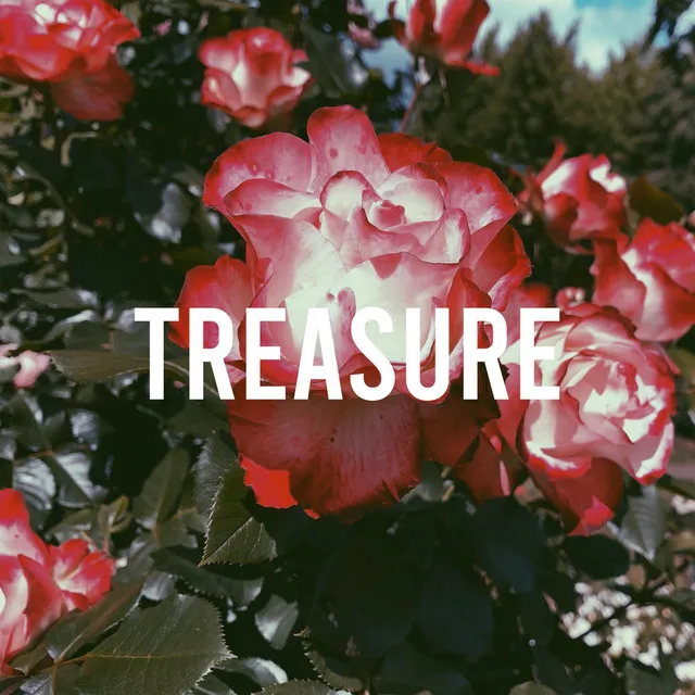 Treasure