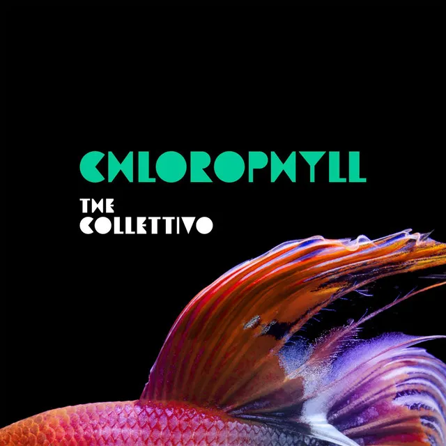 Chlorophyll