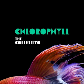 Chlorophyll by The Collettivo