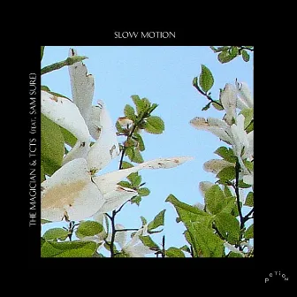 Slow Motion (feat. Sam Sure) by TCTS