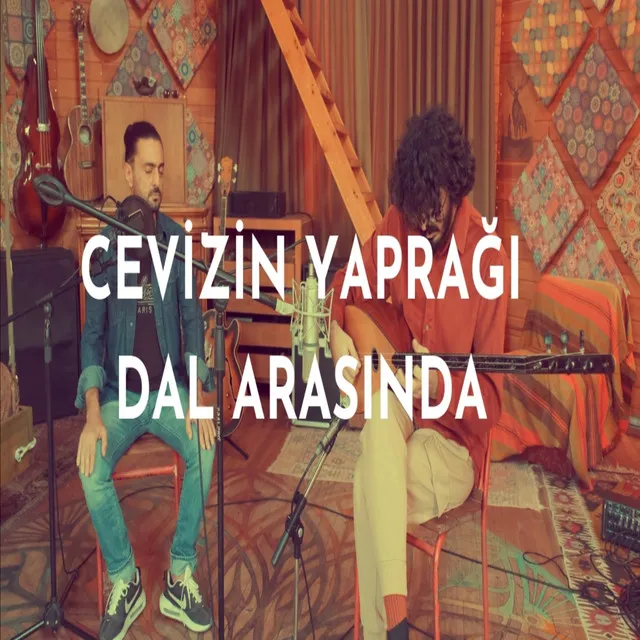 Cevizin Yaprağı Dal Arasında