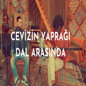 Cevizin Yaprağı Dal Arasında by Taylan Özgür Ölmez