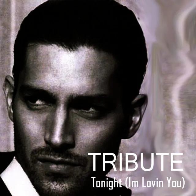 Tonight (I'm Lovin' You) {feat. Ludacris & DJ Frank E} (Enrique Iglesias Tribute)