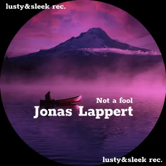 Not a fool by Jonas Lappert