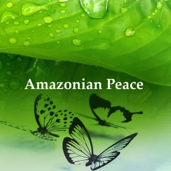 Amazonian Peace by Unknown Artist