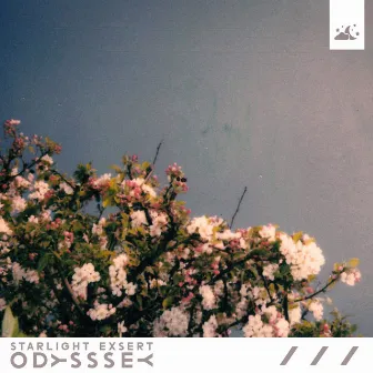 Odysssey by STARLIGHT EXSERT