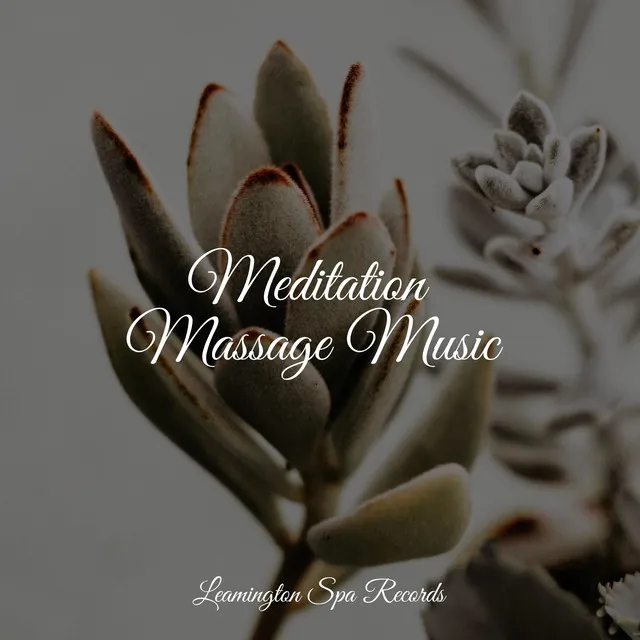 Meditating Music