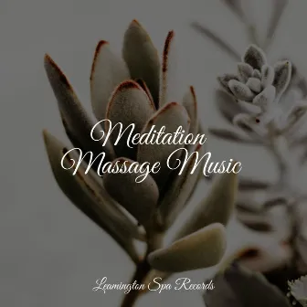 Meditation Massage Music by Yoga Para Ninos