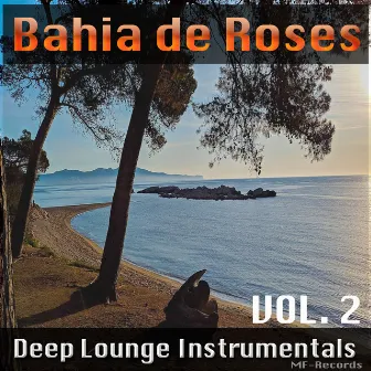 Deep Lounge Instrumentals, Vol. 2 by Bahia de Roses