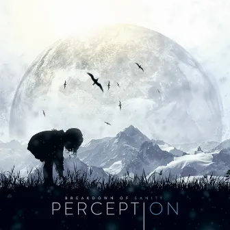 Perception by Breakdown of Sanity