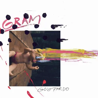 Guepardo by Gram