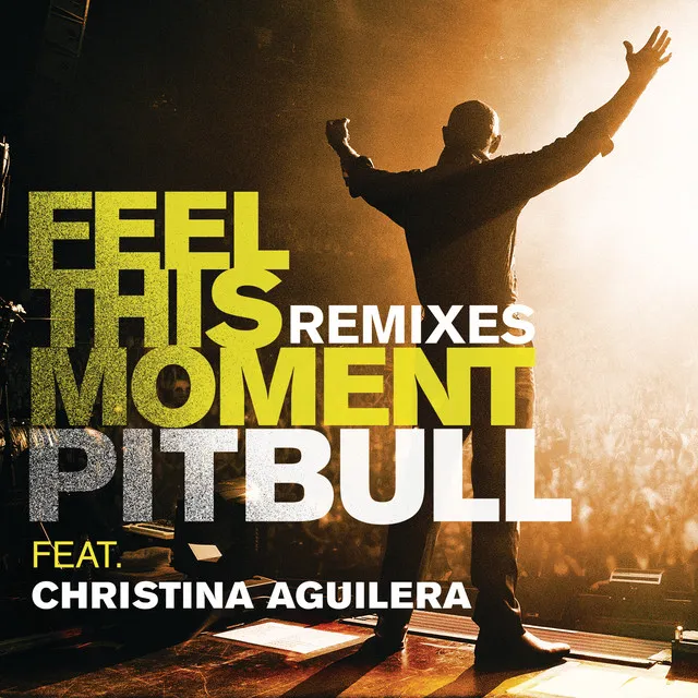 Feel This Moment (feat. Christina Aguilera) - Riddler & Reid Stefan Radio Mix