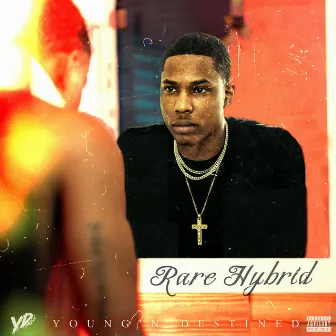 Rare Hybrid by Young'n Destined