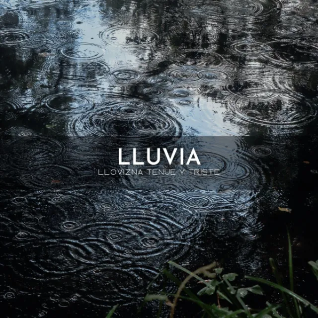 Lluvia: Llovizna Tenue Y Triste