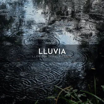 Lluvia: Llovizna Tenue Y Triste by Los durmientes de agua