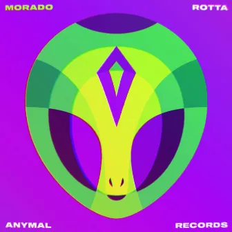 Morado by Rotta