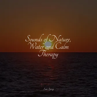 Sounds of Nature, Water and Calm Therapy by Happy Baby Lullaby Collection