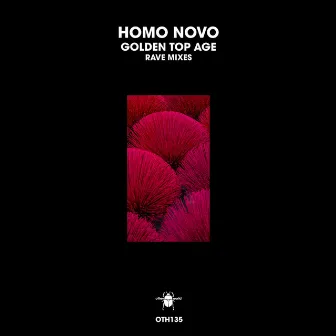 Golden Top Age (Rave Mixes) by Homo Novo