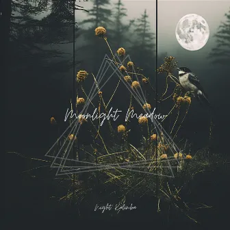 Moonlight Meadow: Nature’s Gentle Harmonies by Night Kalimba