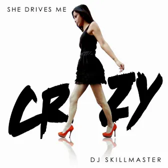 She Drives Me Crazy by DJ Skillmaster