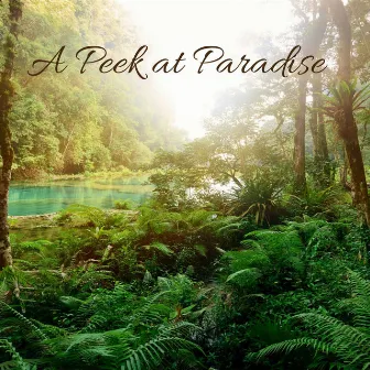 A Peek at Paradise by Loopable Rain for Sound Sleeping