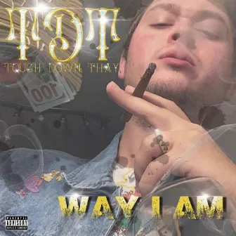 Way I Am by TDT