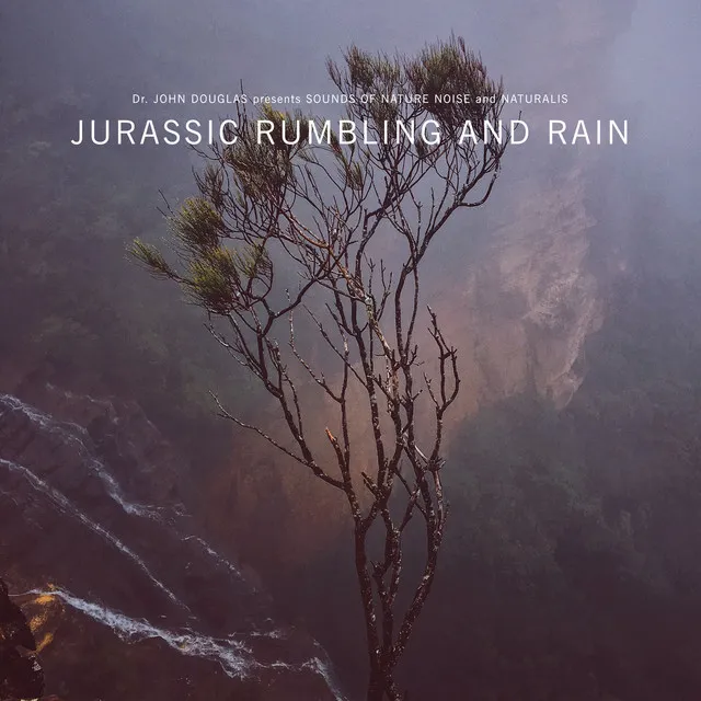 Jurassic Rain and Thunder for Deep Sleep