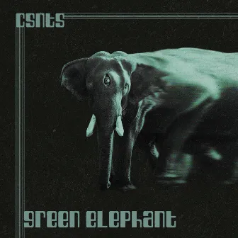 green elephant by csnts