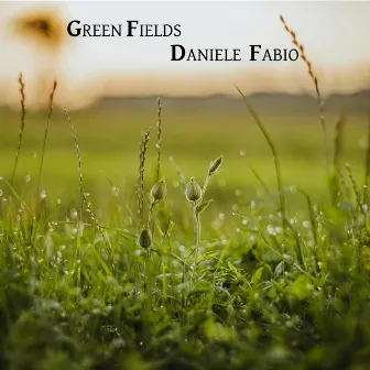 Green Fields by Daniele Fabio