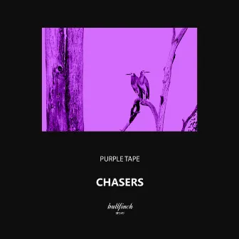 Chasers by Purple Tape