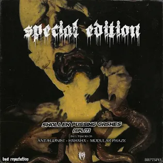 Swollen Pussing Gashes [Split] (Special Edition) by HXHXHX