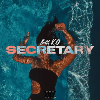 Secretary by BIGG KO