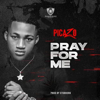 Pray for Me by Picazo