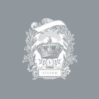 Silver by Starflyer 59