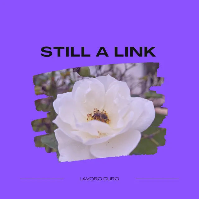 Still A Link