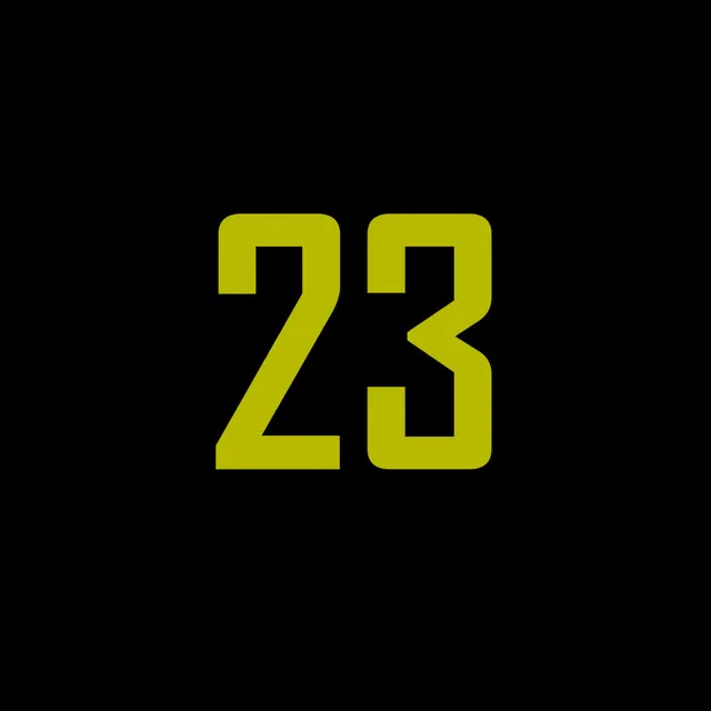 23