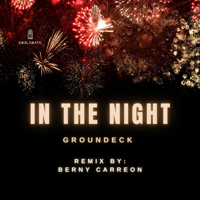 In The Night - Berny Carreon Remix