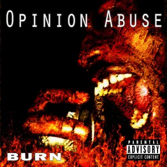 Opinion Abuse by Burn