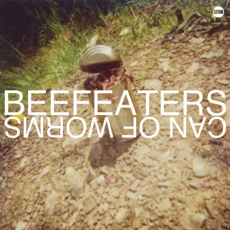 Can of Worms by Beefeaters