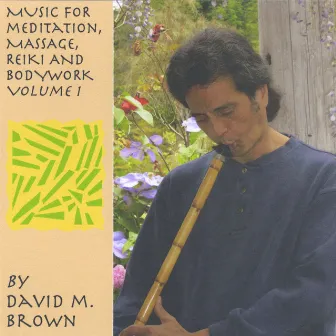 Music For Meditation, Massage, Reiki And Bodywork Volume 1 by David M. Brown