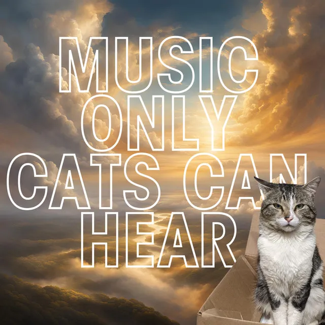 Calming sounds for anxious cats