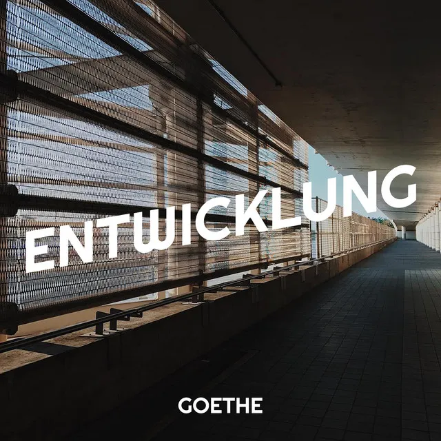 Entwicklung