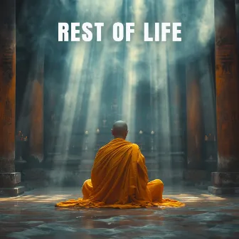 Rest of Life by Alok Zenith