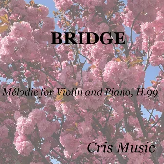 Bridge: Mélodie for Violin and Piano, H.99 by Simeon Rumschisky