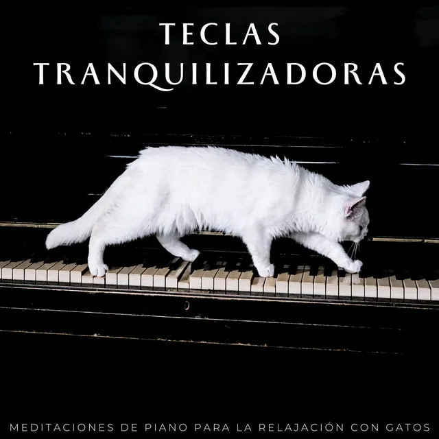 Teclas Tranquilizadoras: Meditaciones De Piano Para La Relajación Con Gatos