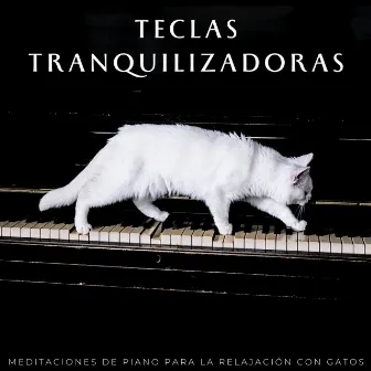 Teclas Tranquilizadoras: Meditaciones De Piano Para La Relajación Con Gatos by Musicoterapia relajante para gatos