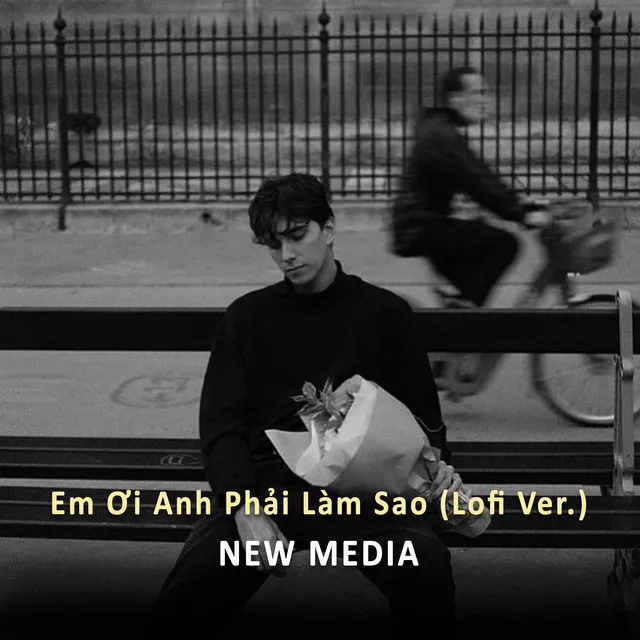 Em Ơi Anh Phải Làm Sao (Lofi Ver.)