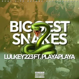 Biggest Snakes by LulKey223