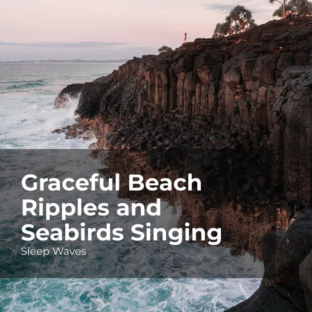 Graceful Beach Ripples and Seabirds Singing